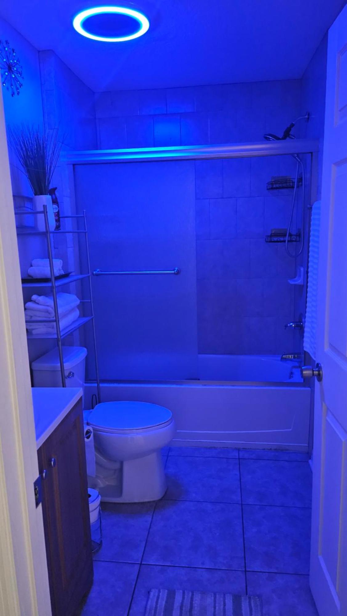Apartment Extended